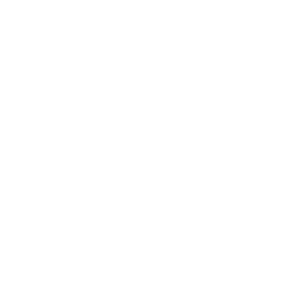 agoo IT-Solutions
